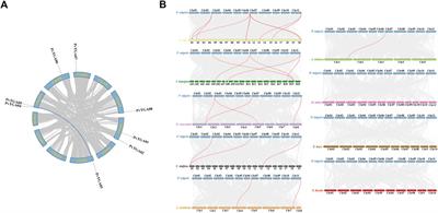 Genome-wide identification of the TGA genes in common bean (Phaseolus vulgaris) and revealing their functions in response to Fusarium oxysporum f. sp. phaseoli infection